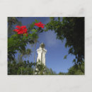 Search for polynesian postcards Nature
