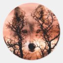 Search for spirit wolf stickers Totem