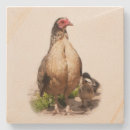 Search for hen coasters Retro