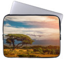 Search for acacia electronics Landscape