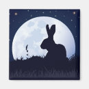 Search for hare magnets Bunnies
