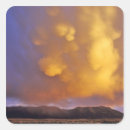 Search for storm cloud stickers Usa