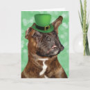 Search for irish drinking cards Shenanigans