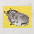 Search for asleep postcards Cute