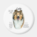 Search for sable magnets Collie