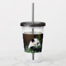 Search for panda tumblers Black