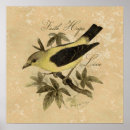 Search for hope posters Vintage