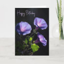 Search for morning glory birthday cards Nature