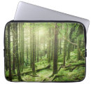 Search for rural cases Forest