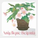 Search for begonia stickers Plant