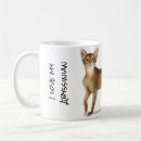 Search for abyssinian cat Crazy cat lady