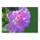Search for azalea photography Floral