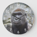 Search for silverback gorilla clocks Ape