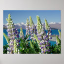 Search for new zealand posters Mountains