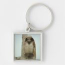 Search for gateway key rings Entrance