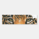 Search for catch bumper stickers Nature