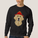 Search for golden retriever hoodies Canine