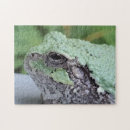 Search for green tree frog puzzles Wildlife