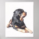 Search for lay art Dog