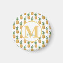 Search for pineapple magnets Pretty