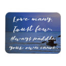 Search for paddling magnets Paddle