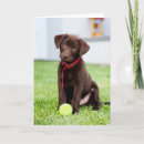 Search for play ball cards Pet