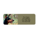 Search for doberman pinscher return address labels Dobie