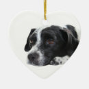 Search for black and white dog christmas tree decorations Puppies
