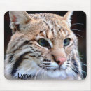 Search for closed mousepads Animals