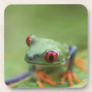 Search for tree frog barware Full length