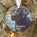 Search for hunting dog christmas tree decorations Cute