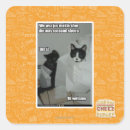 Search for ju ju stickers I can has cheezburger