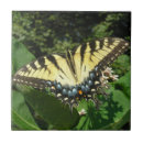 Search for swallow tiles Flowers
