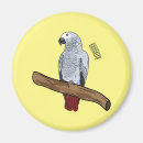 Search for parrot magnets Bird