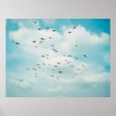 Search for flying dove posters Bird