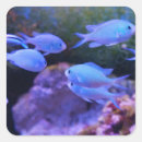 Search for nautical envelope seals Fish