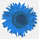 Search for blue sunflower stickers Botanical
