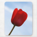 Search for red tulip electronics Blue