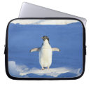 Search for arctic bird electronics Penguin