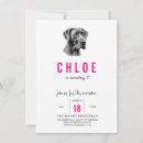 Search for dane invitations Dog