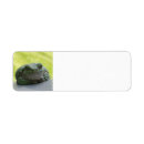 Search for amphibian return address labels Tree frog