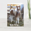 Search for foal birthday cards Friend