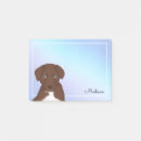 Search for aussie” Puppy