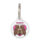 Search for spinone Italian spinone