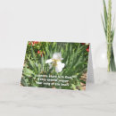 Search for white iris photography Floral