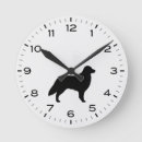 Search for be flat clocks Flat coated retriever
