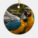 Search for parrot christmas tree decorations Bird