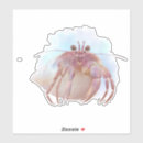 Search for hermit crab stickers Illustration
