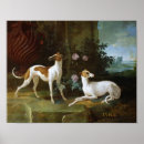 Search for levrier Dog