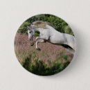 Search for galloping badges Equestrian